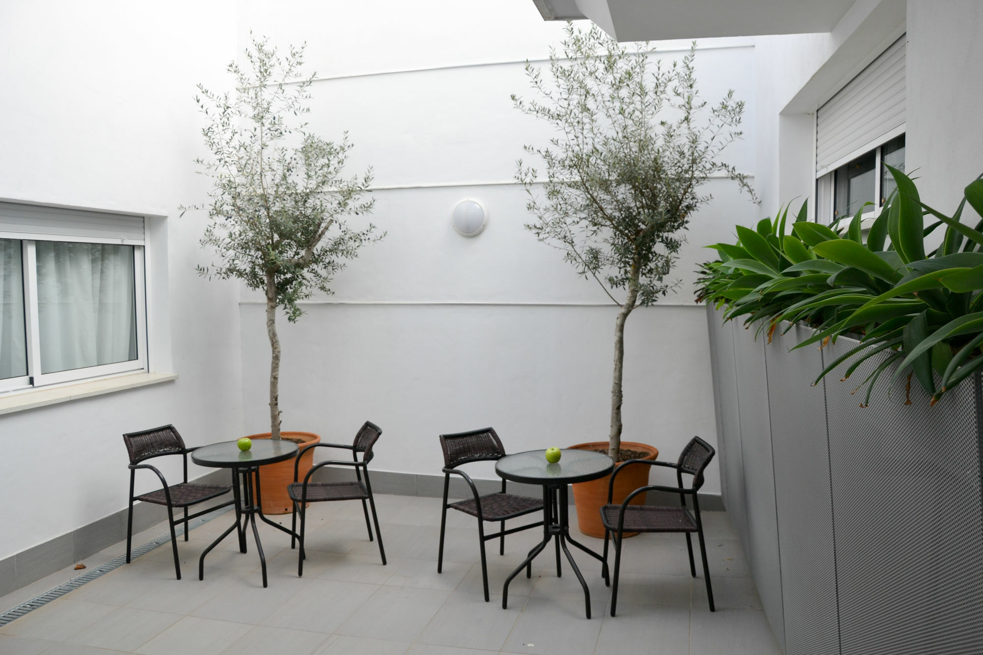 Dos Olivos Apartment *